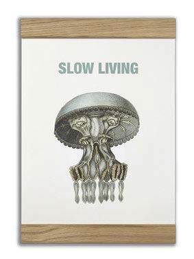 Slow living, 2-in-one