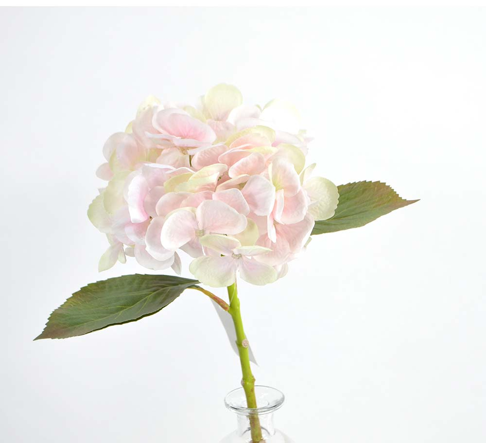 Hydrangea, 45 cm, natural touch, cream-pink